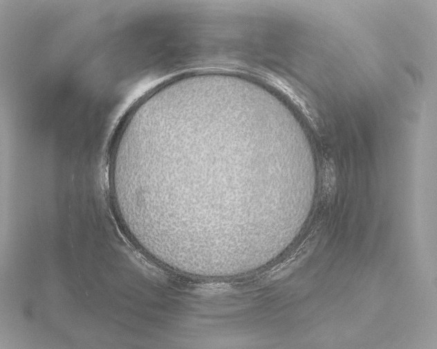 X0000115641462200912011451