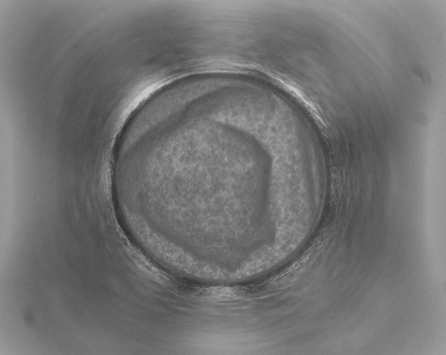 X0000115641463200912011451