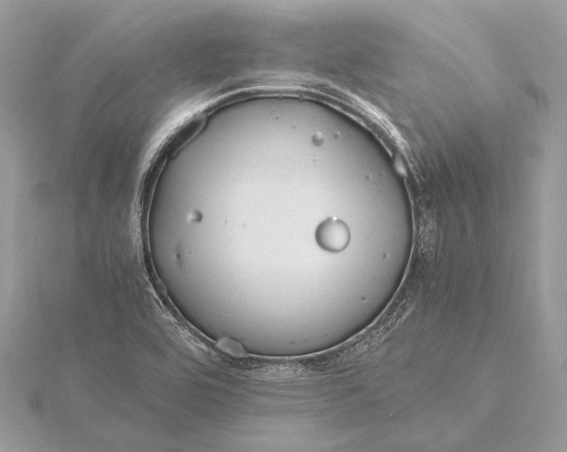 X0000115641464200912011451