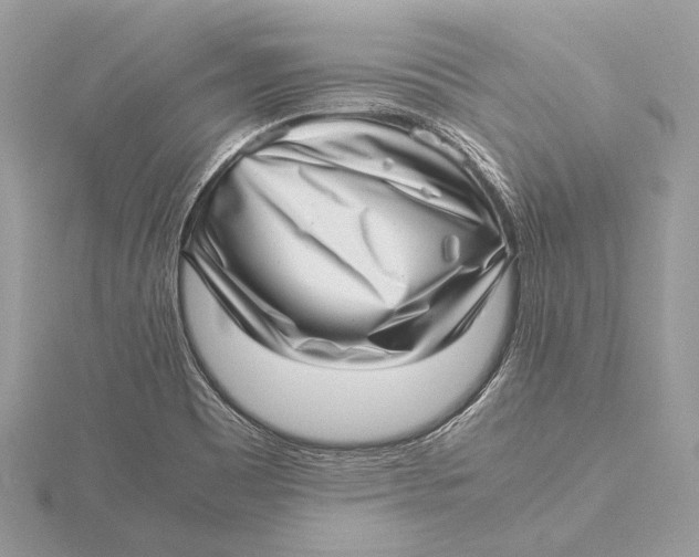 X0000115641465200912011451