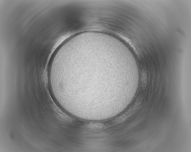 X0000115641466200912011451