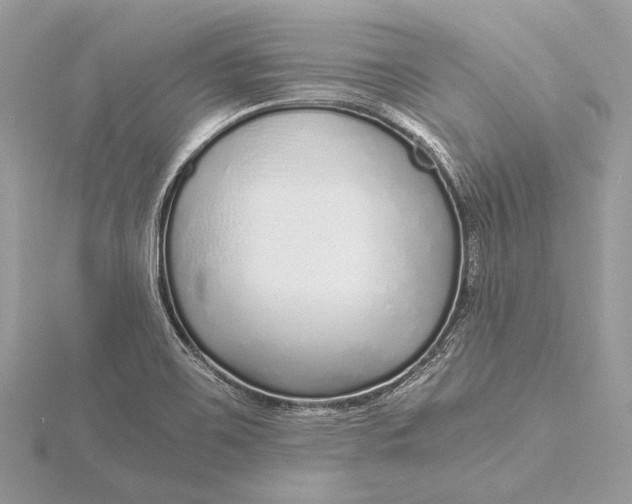 X0000115641467200912011451