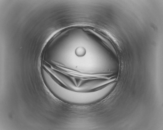 X0000115641468200912011451