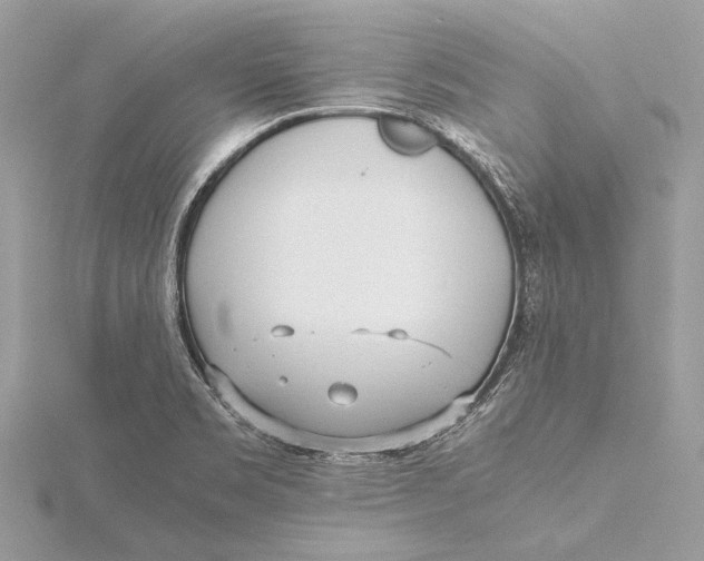 X0000115641469200912011451