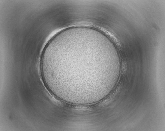 X0000115641470200912011451