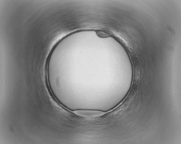 X0000115641471200912011451