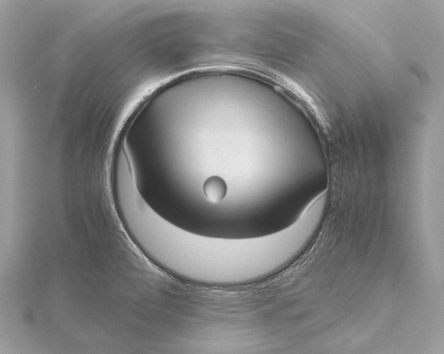 X0000115641472200912011451