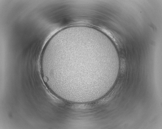 X0000115641474200912011451