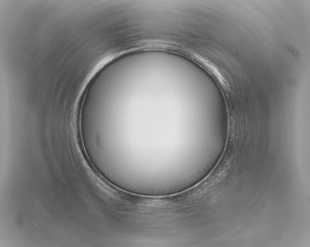 X0000115641475200912011451