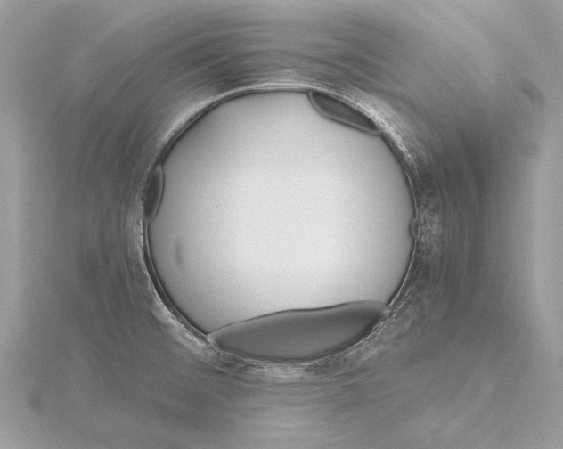 X0000115641476200912011451