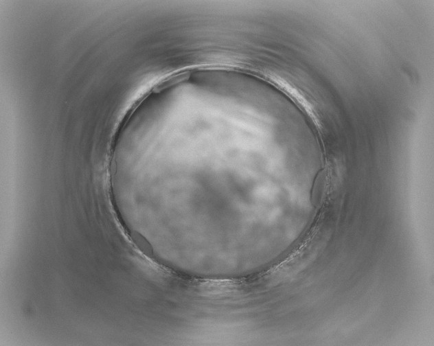 X0000115641477200912011451