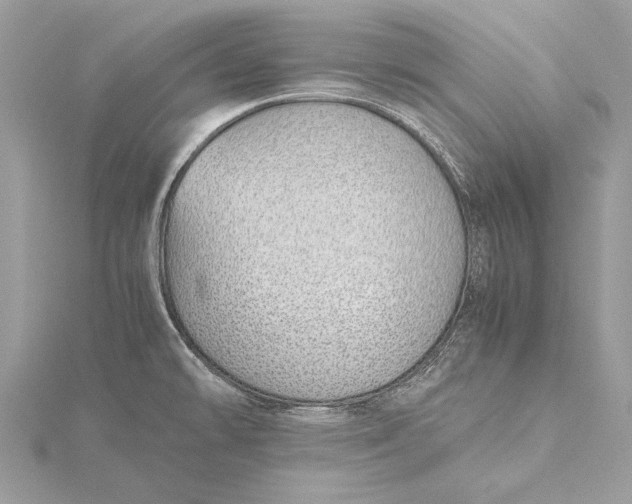 X0000115641478200912011451