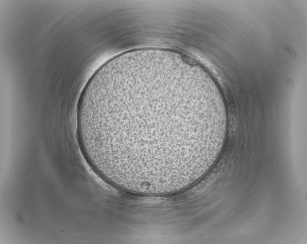 X0000115641479200912011451