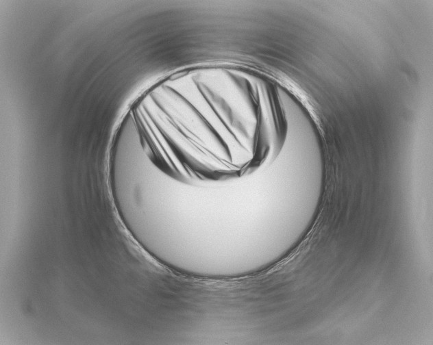 X0000115641480200912011451