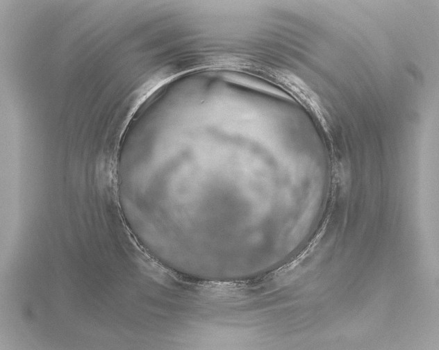 X0000115641481200912011451