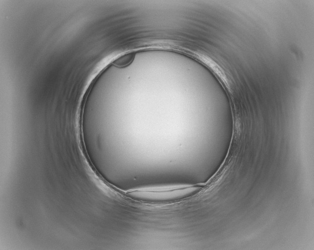 X0000115641482200912011451