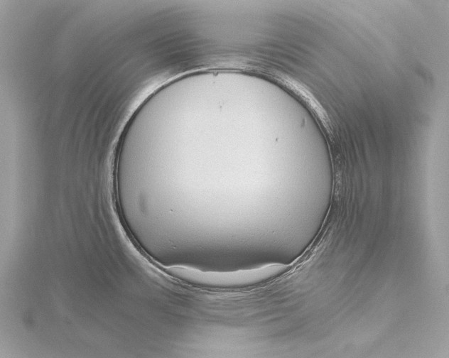 X0000115641483200912011451