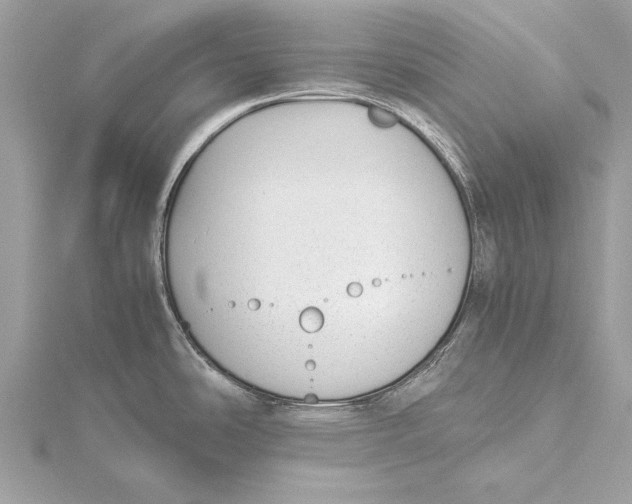 X0000115641486200912011451