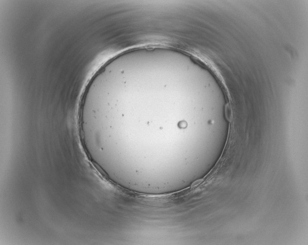 X0000115641488200912011451