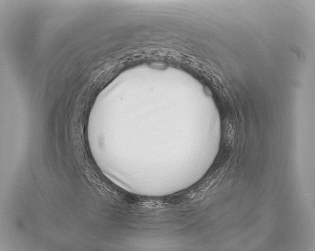 X0000115641489200912011450