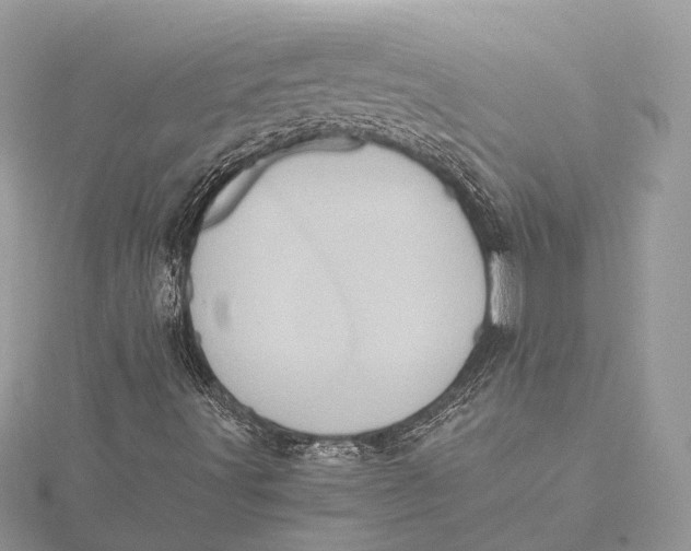 X0000115641491200912011450