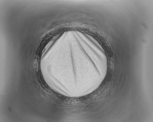 X0000115641493200912011450