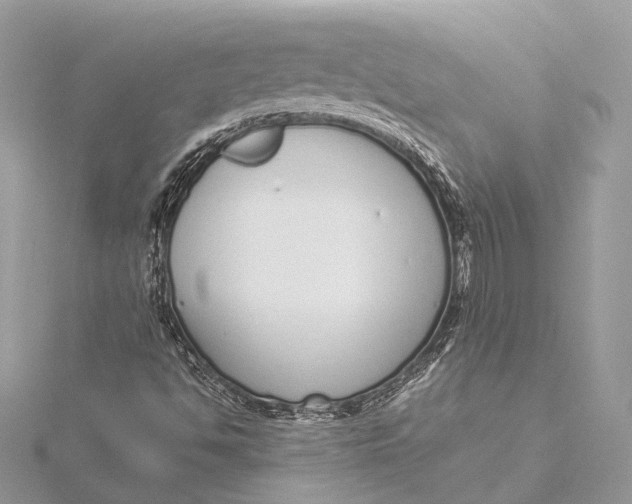 X0000115641494200912011450