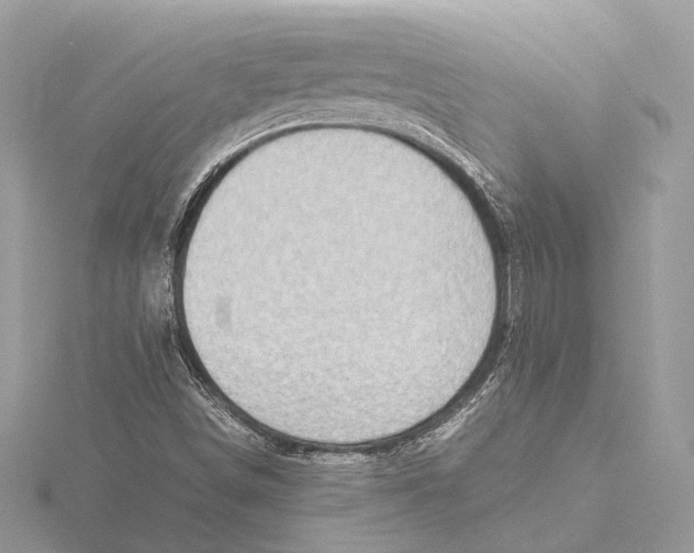 X0000115641498200912011450