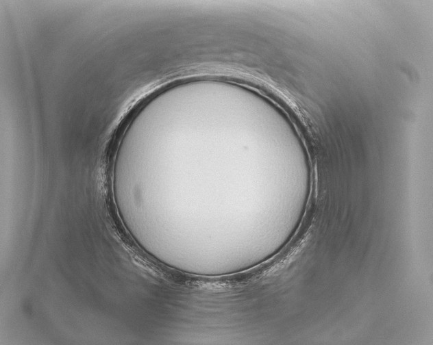 X0000115641501200912011450