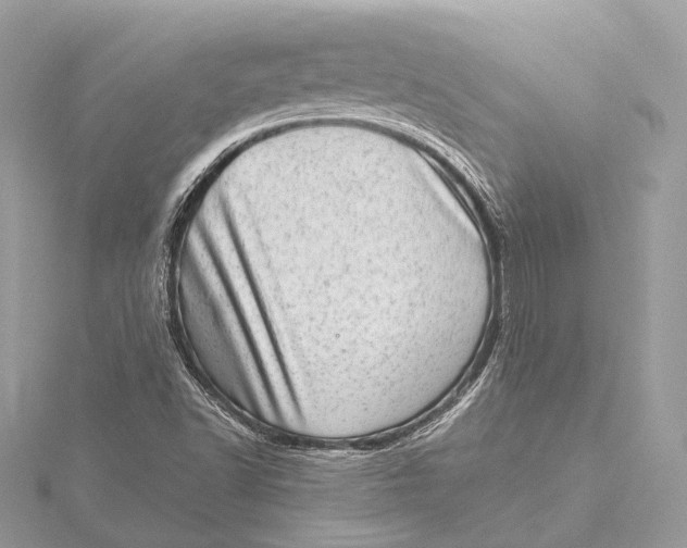 X0000115641502200912011450