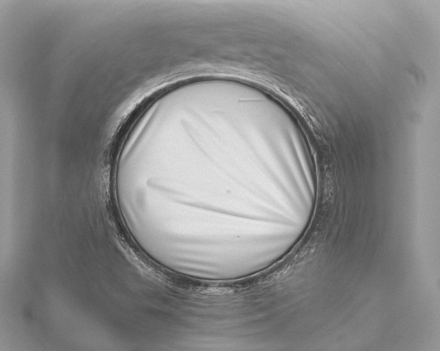 X0000115641503200912011450