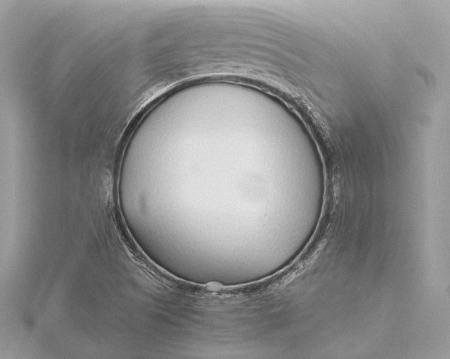 X0000115641505200912011450