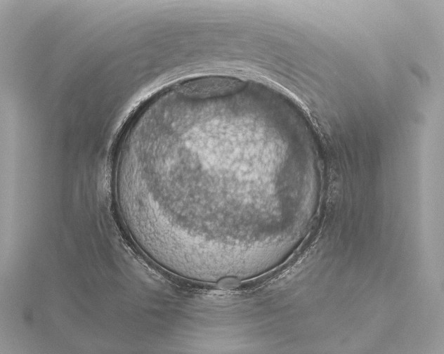 X0000115641506200912011450