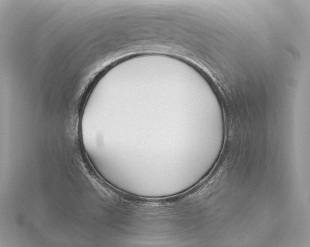 X0000115641507200912011450