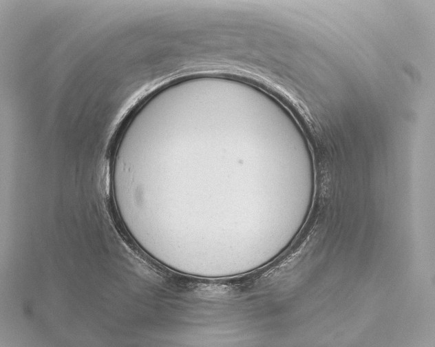 X0000115641509200912011450