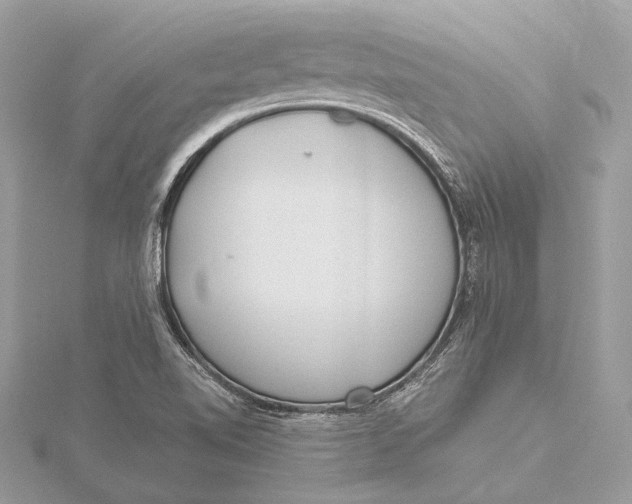 X0000115641510200912011450