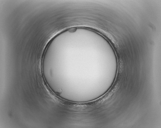 X0000115641513200912011450