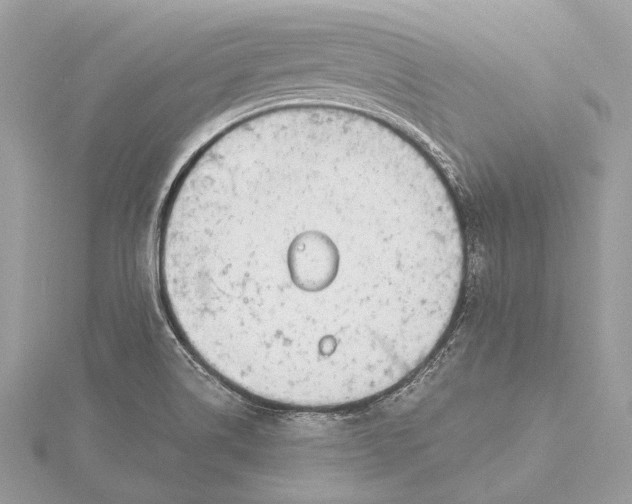 X0000115641514200912011450