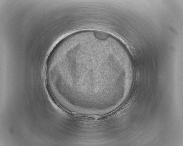 X0000115641515200912011450