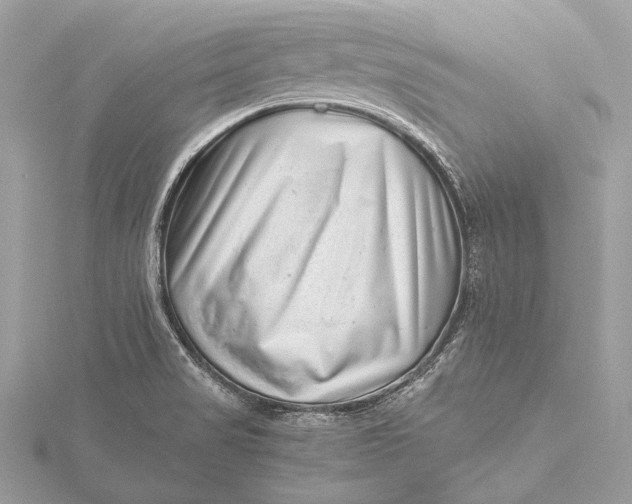 X0000115641517200912011450