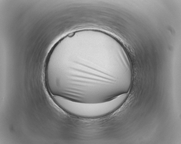 X0000115641518200912011450