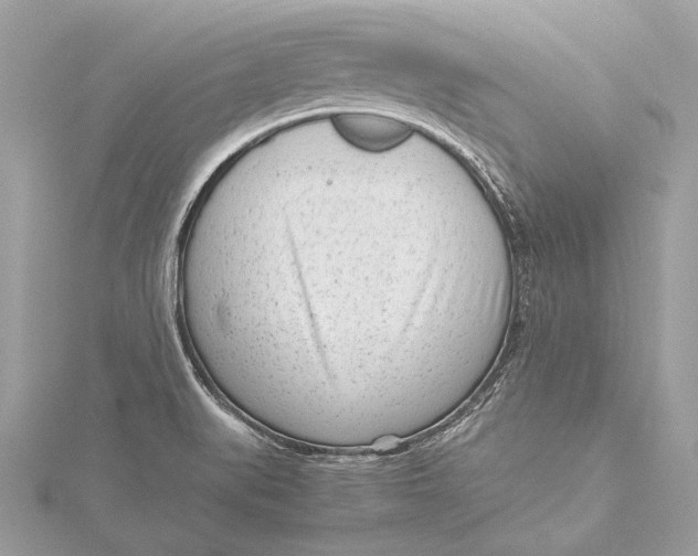 X0000115641519200912011450