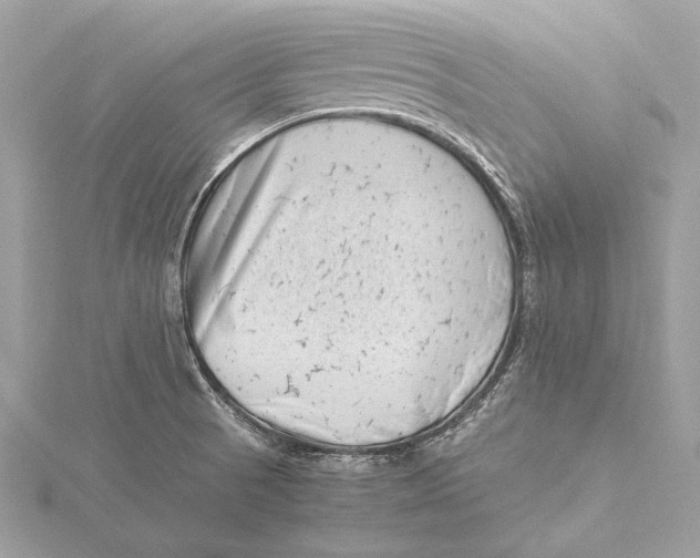 X0000115641521200912011450