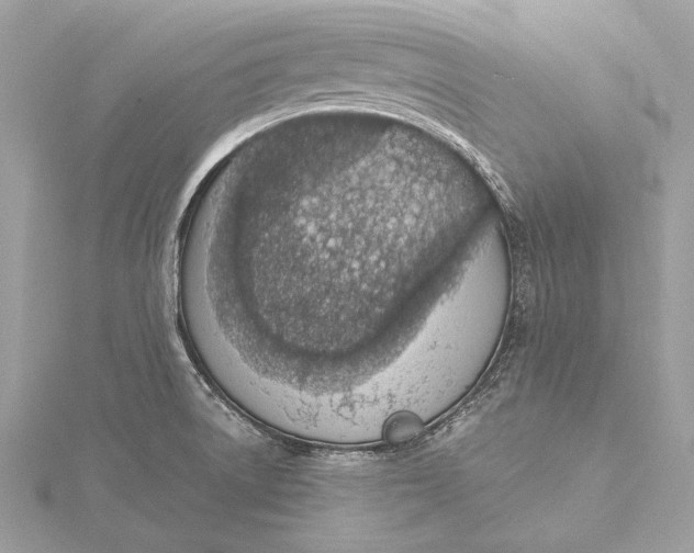 X0000115641522200912011451