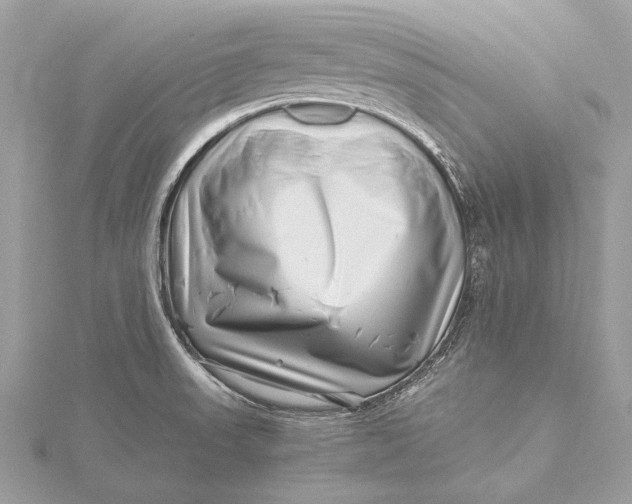 X0000115641523200912011451