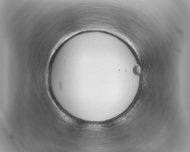 X0000115641525200912011451