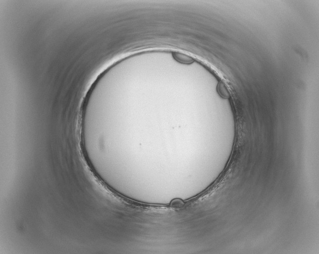 X0000115641526200912011451