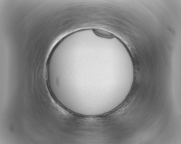 X0000115641527200912011451