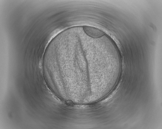 X0000115641529200912011451