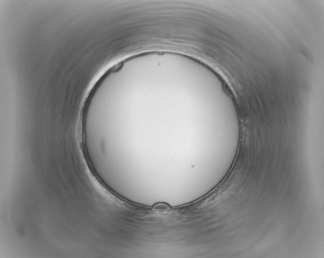 X0000115641531200912011451